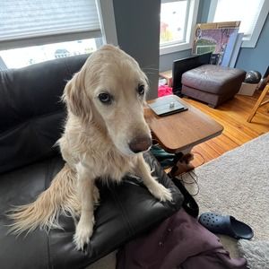 Meet your Posher, Connor